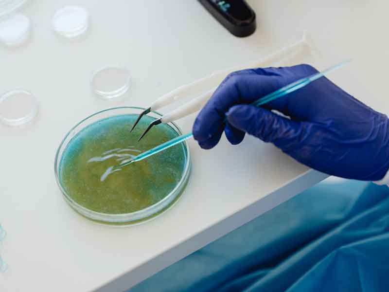 Forme parte de un  café científico para conocer más sobre la Biotecnología en Ecuador