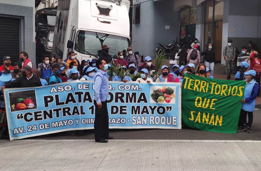 Pingulleros y Hierbateras: Una caminata que sana.