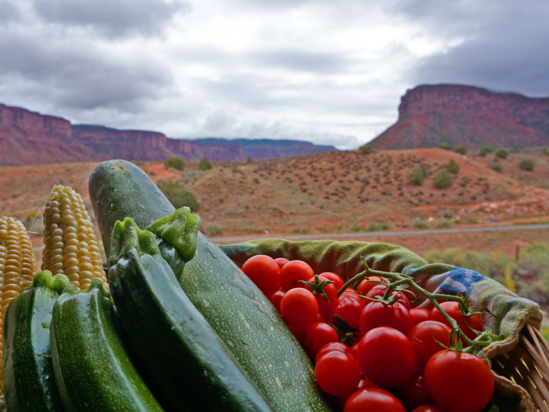 “Nuevas raíces con la Pachamama”,  una actividad  para conocer más sobre permacultura