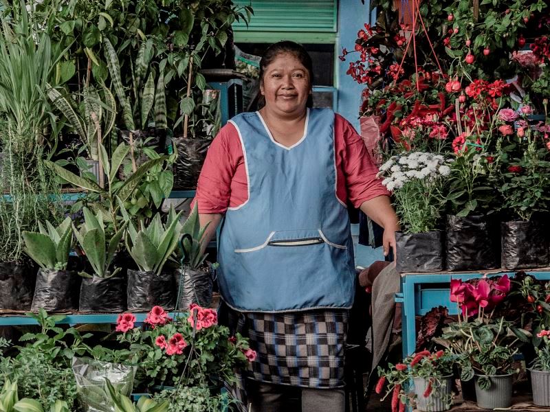 Territorios que sanan: Al encuentro de las Hierbateras