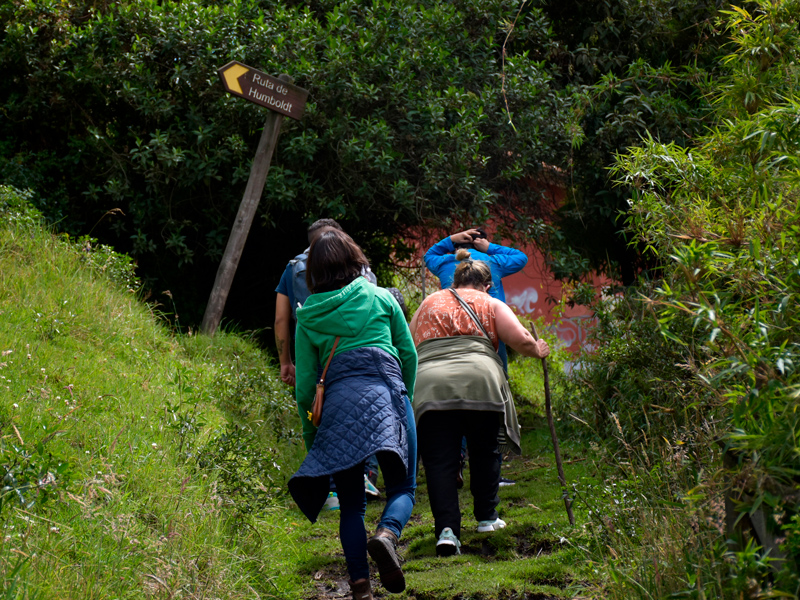 Disfrute de la naturaleza en un recorrido especial por la Ruta de Humboldt