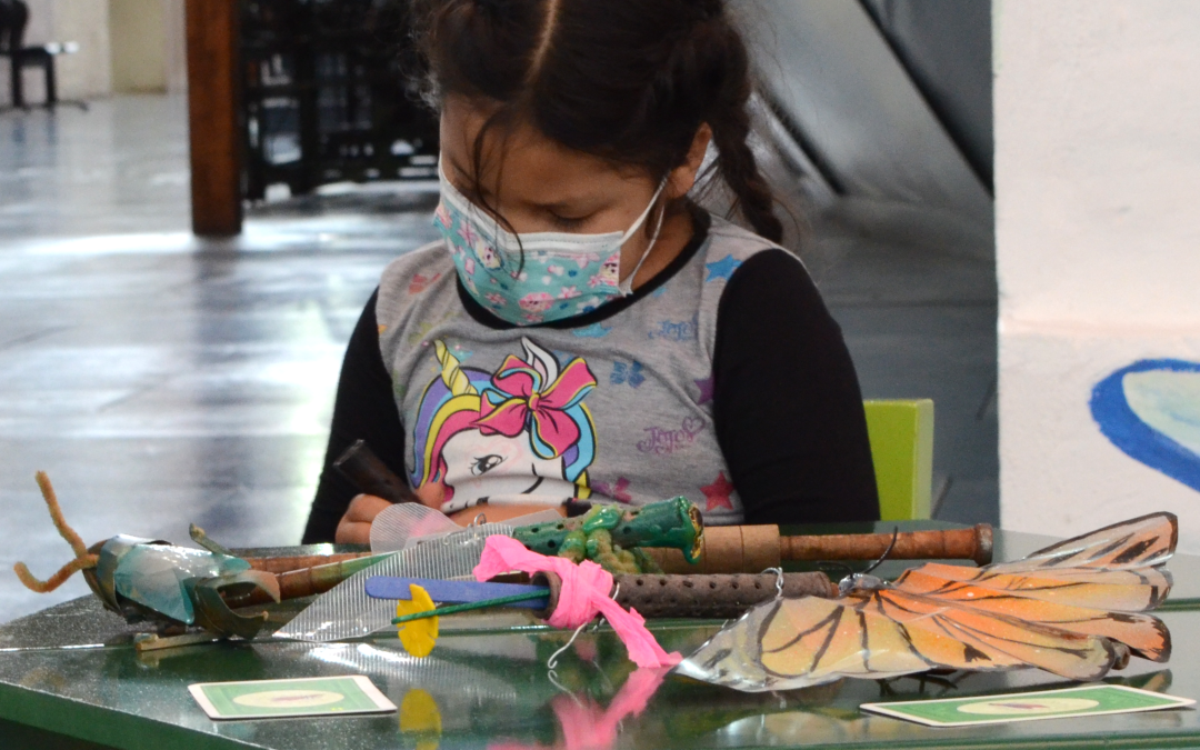 Último mes para disfrutar de la exposición “Los insectos al rescate el planeta”