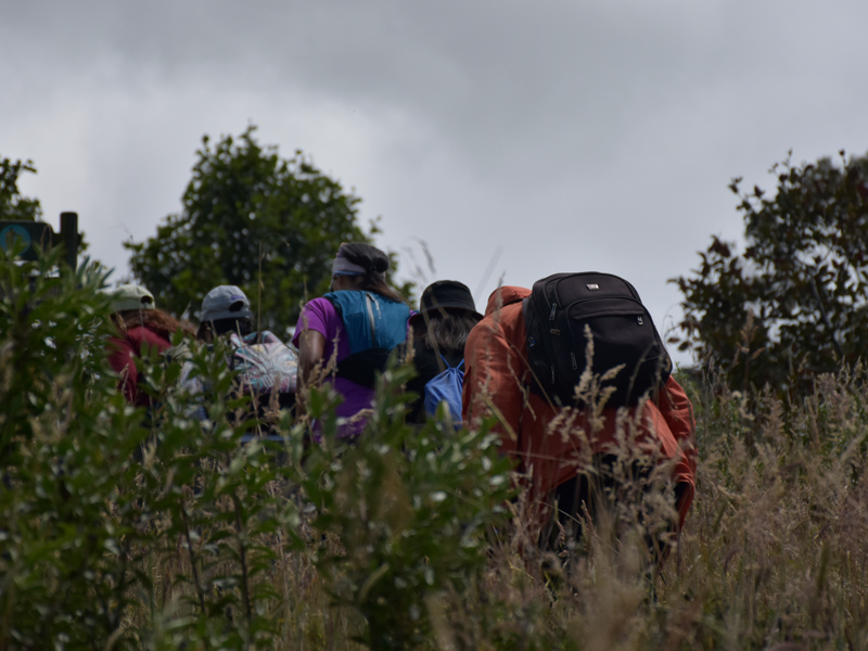Conéctese con la naturaleza en un recorrido especial a la Ruta de Humboldt