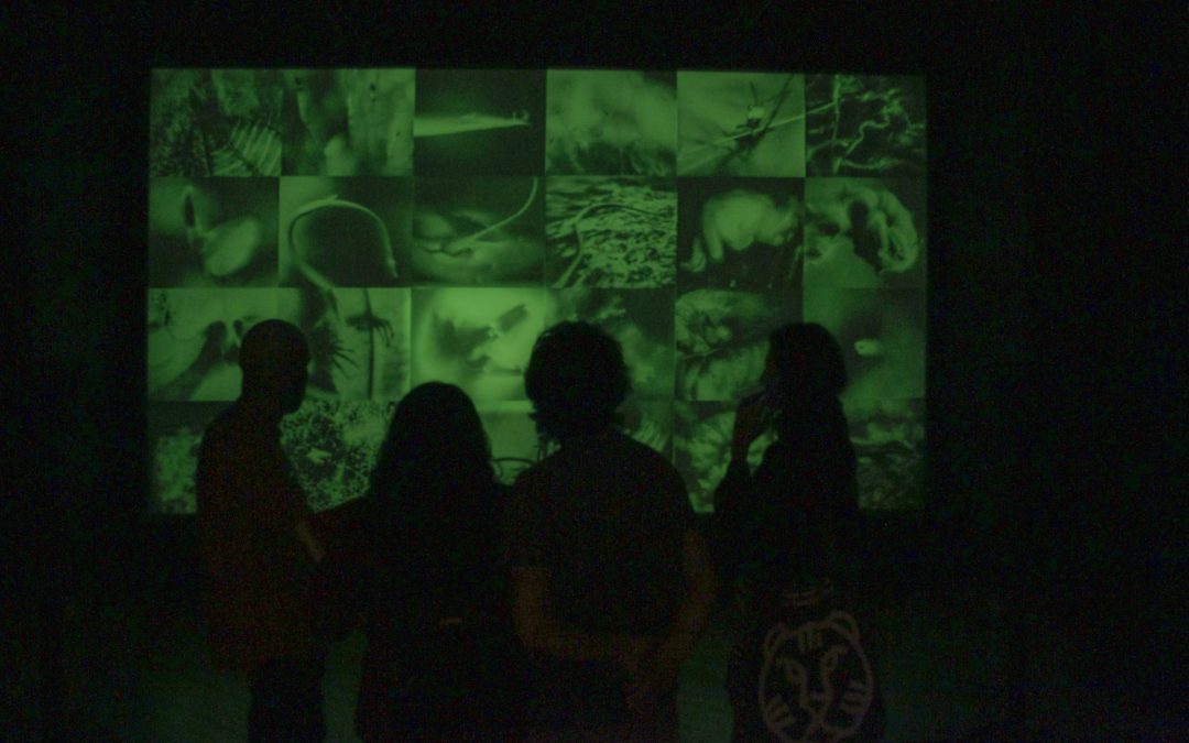 El Centro de Arte Contemporáneo presenta un “reality show”