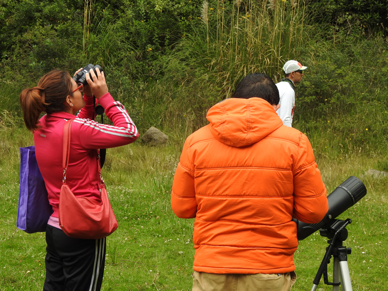 Forme parte del Noveno Conteo Navideño Urbano de Aves, en “La Chorrera”