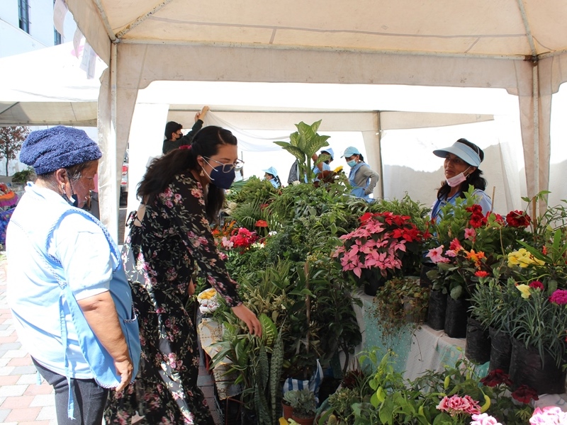 ¡Ven a mí: Ataditos de plantas para el amor y la amistad!