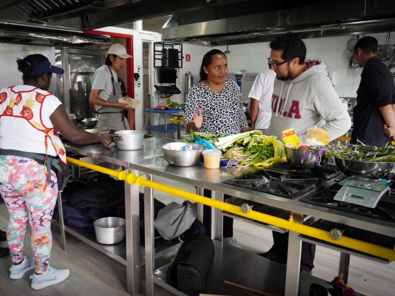 Festival Gastronómico: “Cocinando con plantas medicinales y silvestres”.