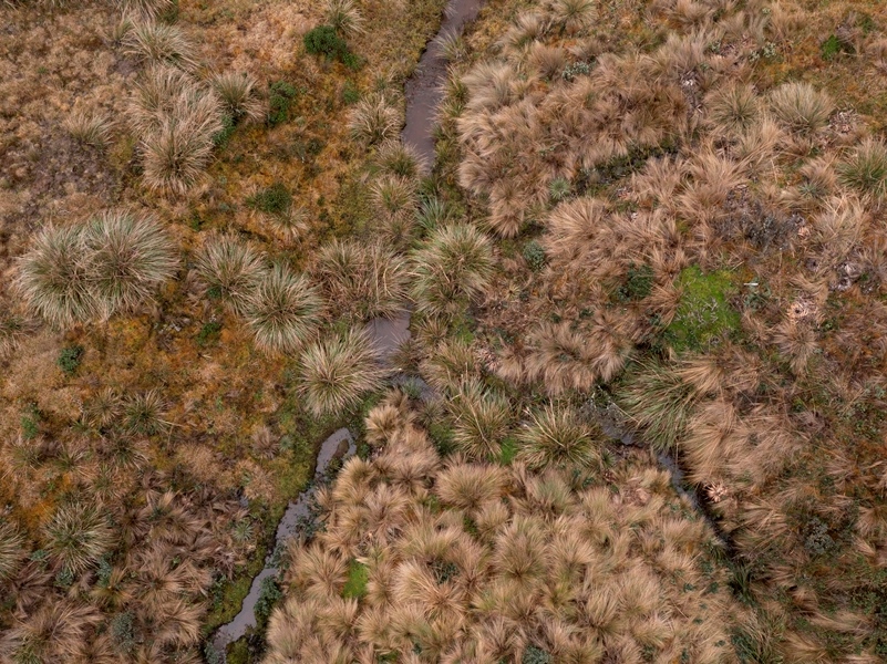 El páramo de Quito: Más cerca de lo que imagino.
