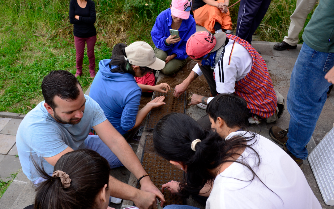 ¡Vamos a la minga! Una propuesta para disfrutar en el MIC