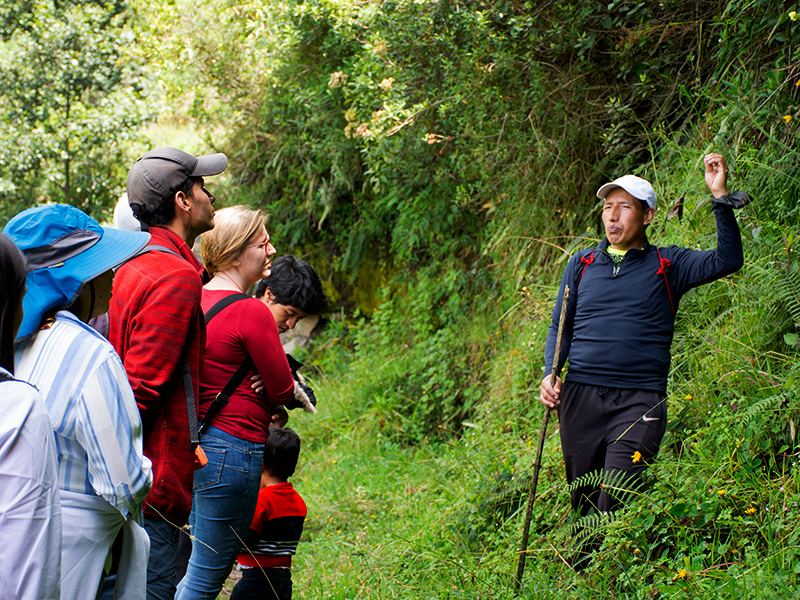 ¡A celebrar el Día de la Tierra, conectándose con la naturaleza en la Ruta de Humboldt!