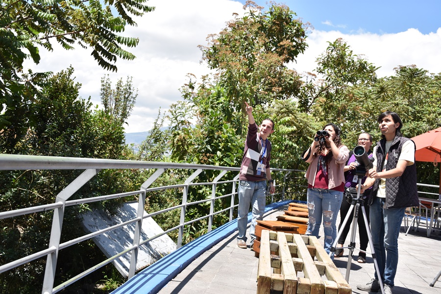 Pajareros Quitensis.