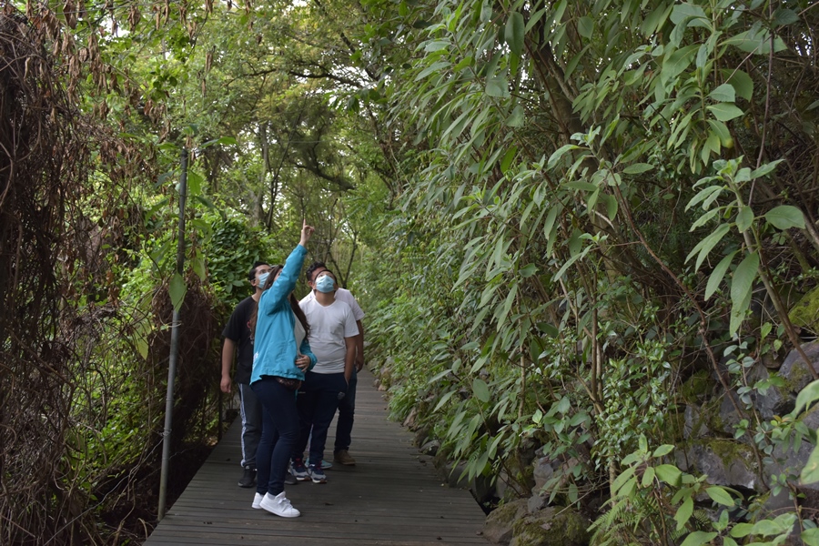 ¡Yaku a la carta!, un “menú especial” por el mes del patrimonio.