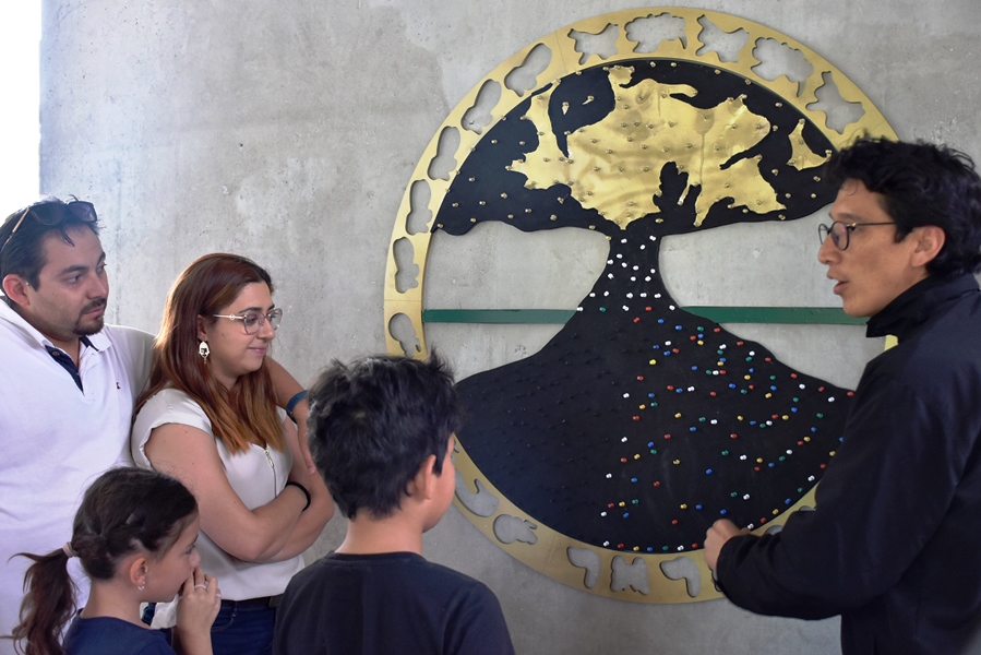 Tejiendo ciclos de vida.