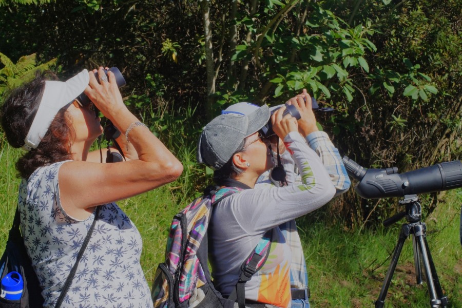 10º Conteo Navideño de Aves Quito.