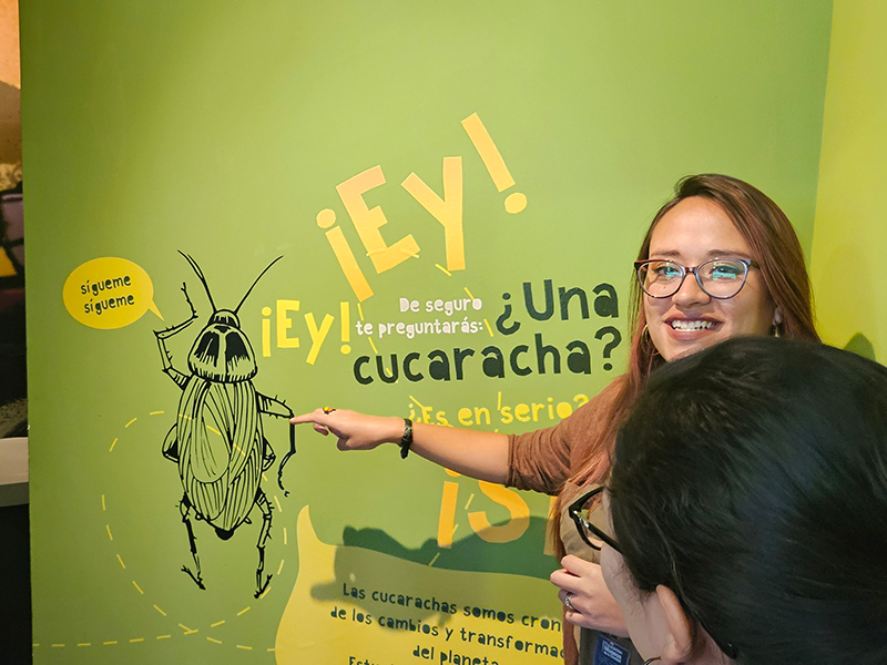 Llegó “Excesivamente”: una nueva exposición para descubrir en el MIC