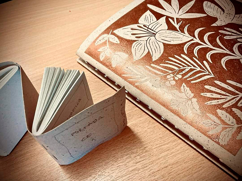 Semana del 29 de enero al 4 de febrero 2024