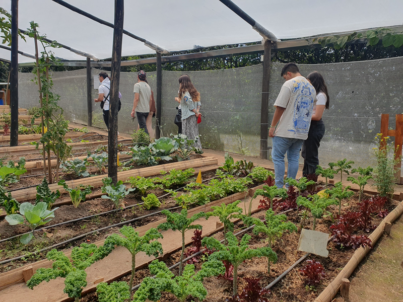 Yaku a la Carta: Un festín de experiencias para disfrutar en familia