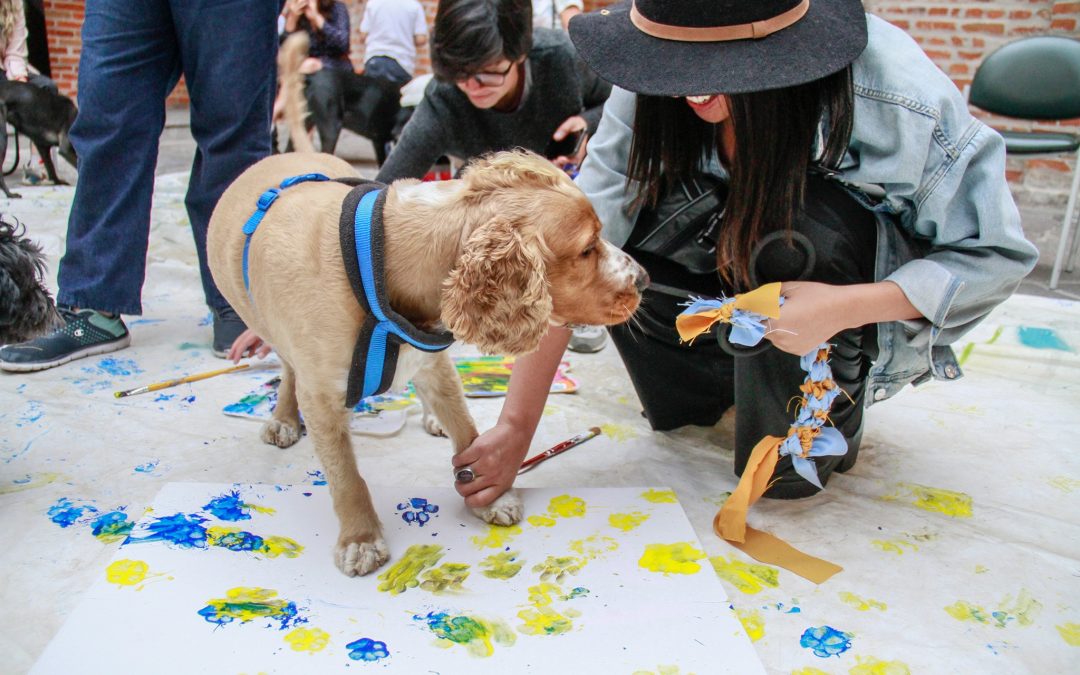 Semana del 11 AL 17 de marzo