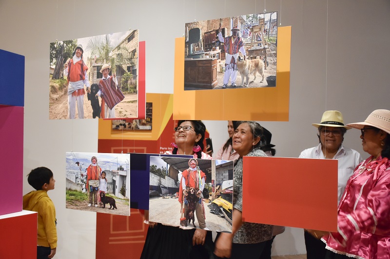 «Perros, gatos y San Juanes», la nueva exposición del Museo de la Ciudad