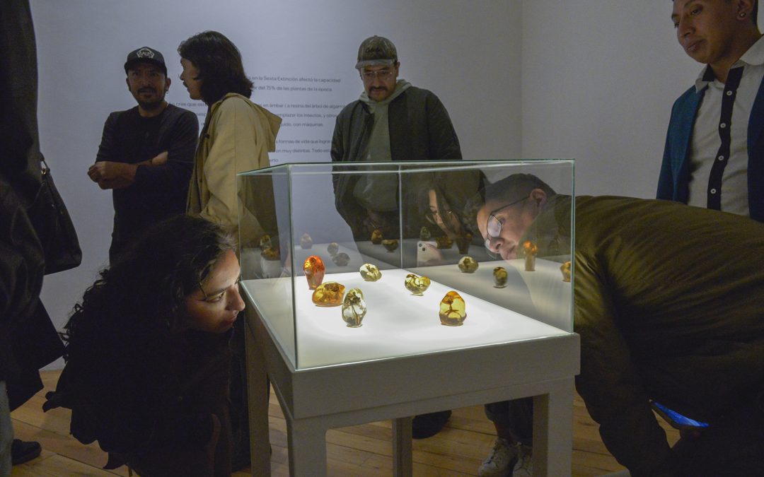 Quito se alista para vivir el mes de los museos, más de 200 actividades formarán parte de la oferta cultural