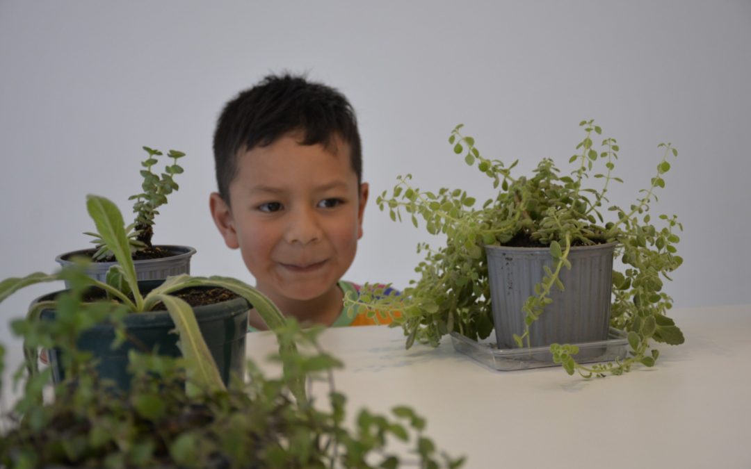 Agenda Cultural Fundación Museos de la Ciudad. Semana del 28 de mayo al 01 de junio de 2025