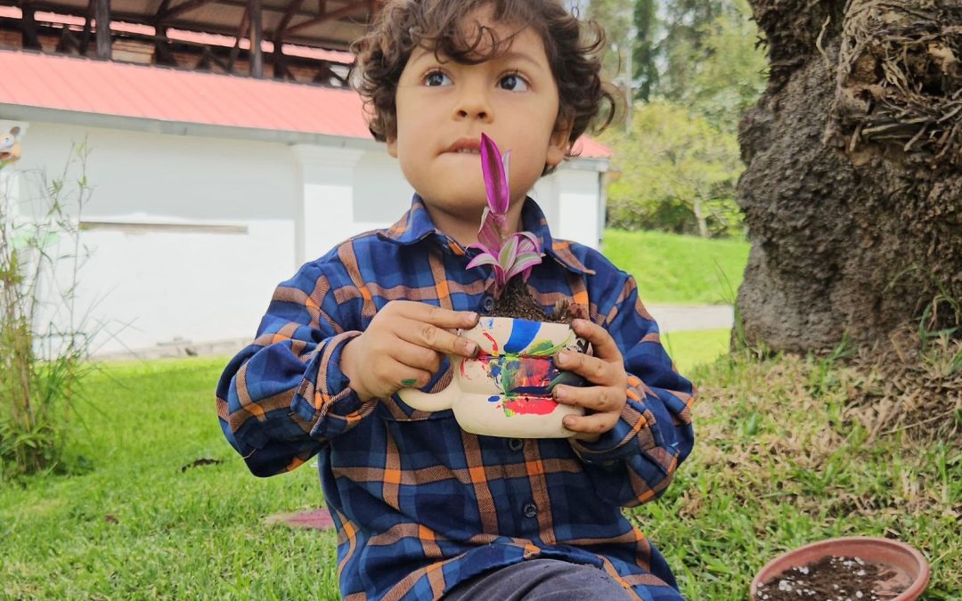 Pinta y planta, celebramos a las infancias con arte y naturaleza