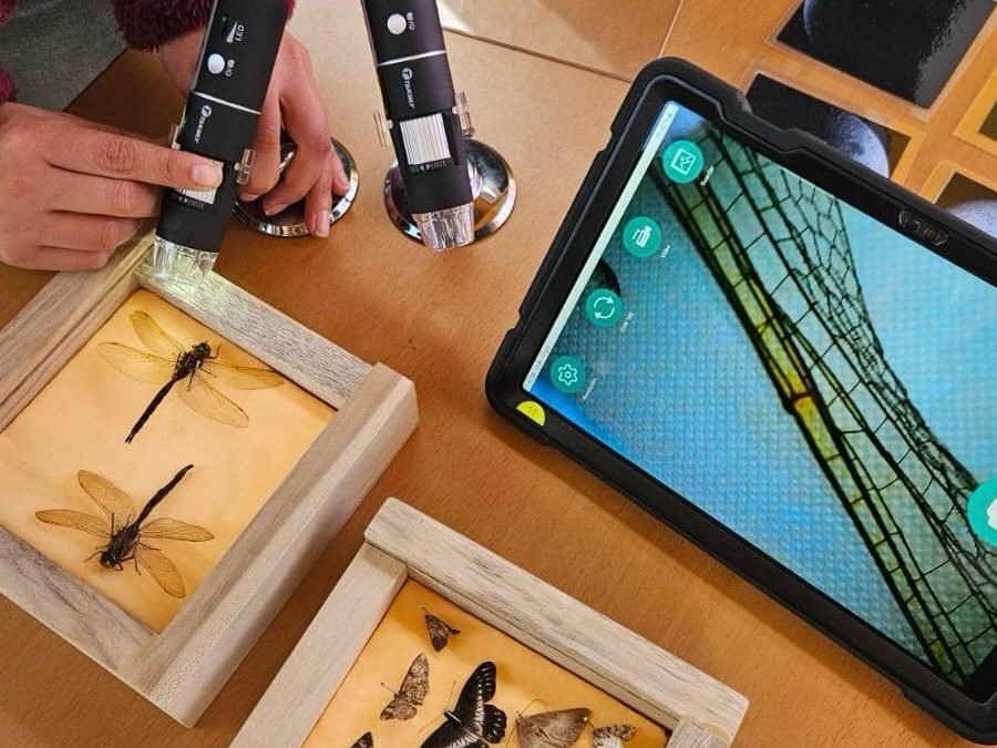 ¡De vacas en el MIC!